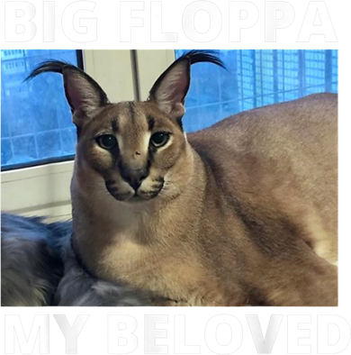 Big Floppa My Beloved Caracal Cat Meme Hooded Wearable Blanket