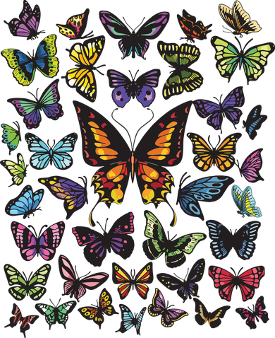 Butterfly Gift For Men Women Butterfly Lover Collection Beanie