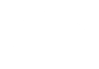 Bass Guitar Player Music Guitarist Musician Sweatshirt