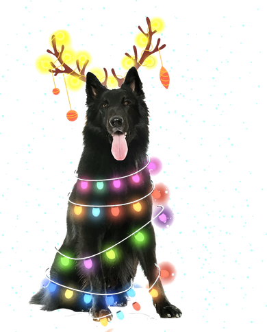 Black German Shepherd Blinker Dog Doggie Tank
