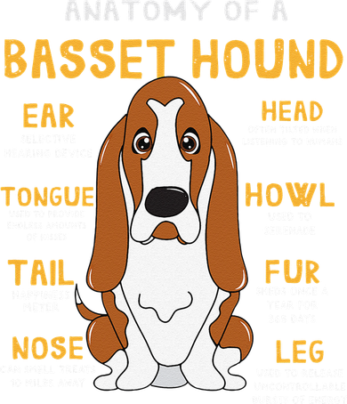 Basset Hound Anatomy Funny Dog Mom Dad Cute Gift Tank Top