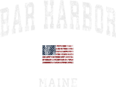 Bar Harbor Maine Me Vintage American Flag Sports Design Kids T-Shirt