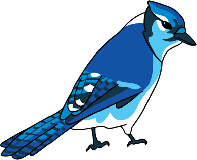 Blue Jay Bird Kids Hoodie