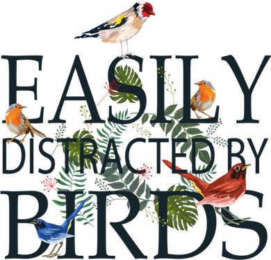 Bird Lovers Gifts For Women Men Gift Easily Distracted By Birds Gift Women's T-Shirt