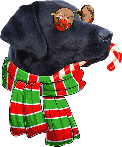 Black Lab Labrador Dog Owners Christmas Xmas Holiday Party Bucket Hat