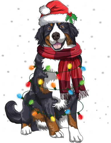 Bernese Mountain Christmas Tree Lights Dog Lover Xmas Women's Hoodie