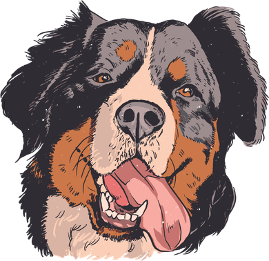 Bernese Mountain Dog Button