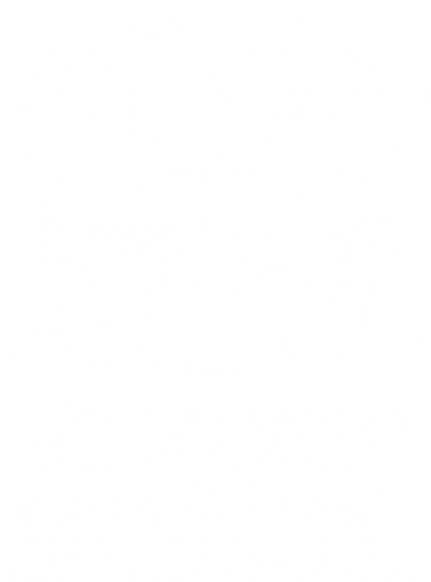Bluegrass Music Straight From The Soul Music Lover Guift Long Sleeve Shirt