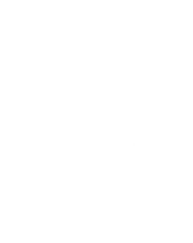 Black Metal Sphynx Cat I Goth And Death Metal Doddie Hoodie