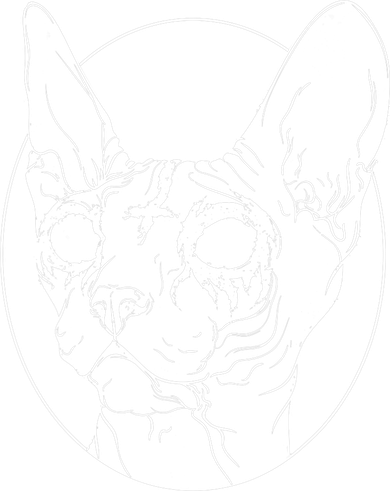Black Metal Sphynx Cat I Goth And Death Metal T-Shirt