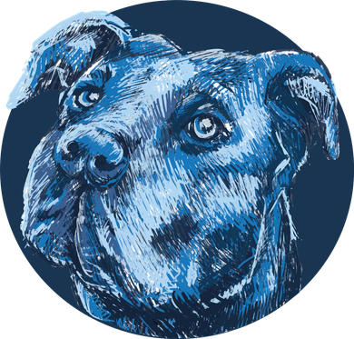 Blue Pitbull Dog Animal Portrait Cute Toddler Hoodie
