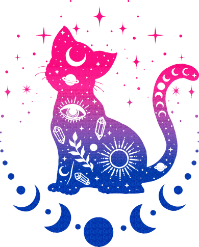 Bisexual pride flag colors astronomy cat Women's Hoodie