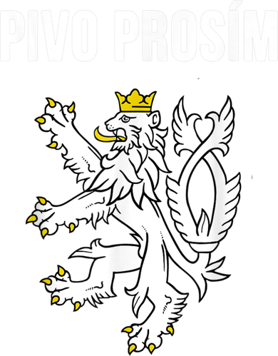 Beer Please In Czech Funny Czech Republic Souvenir Kids T-Shirt