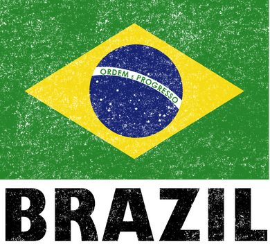 Vintage Brazil Flag Kids Sweatshirt