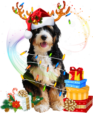 Bernedoodle Reindeer Christmas Lights Funny Dog Xmas Gift Cool Gift Kids Long Sleeve Shirt