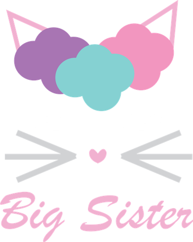 Big Sister Cute Cat Doddie Hoodie