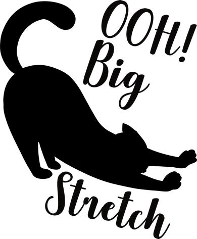 Big Stretch Funny Cat Lover Kids Sweatshirt