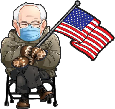 Bernie Sanders Mitten Meme USA Flag Doggie Tank