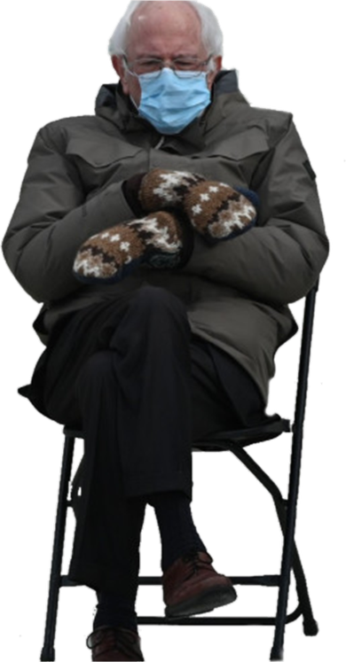 Bernie Sanders Mittens Sitting Inauguration Doggie Tank