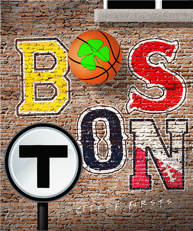 Boston Sports Teams Fan Football Baseball Hockey Basketball Doggie Tank