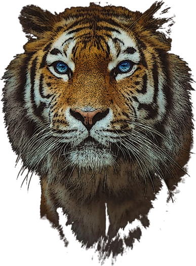 Bengal Tiger Meaningful Gift Endangered Wildlife Lover Big Cat Gift Kids Hoodie