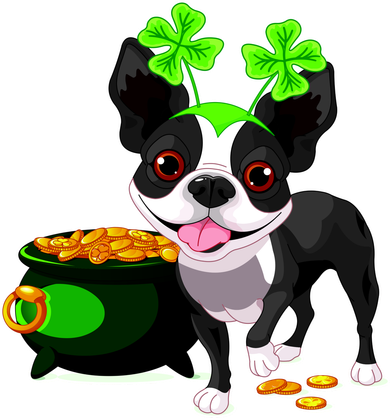 Cute Boston Terrier Shamrock St. Patrick's Day Button