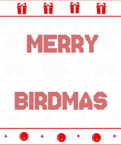Bird Watching Christmas Birding Merry Birdmas Ugly Sweater Toddler T-Shirt