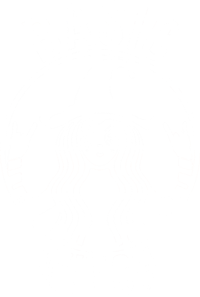 Basic Witch Funny Halloween Hoodie