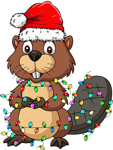 Beaver Wearing Santa Hat Xmas Funny Beaver Lover Christmas Mousepad