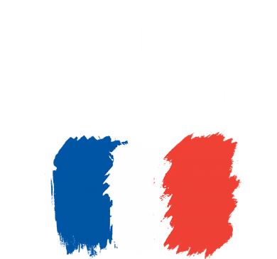 Bonjour Y'all French Parris Women's V-Neck T-Shirt