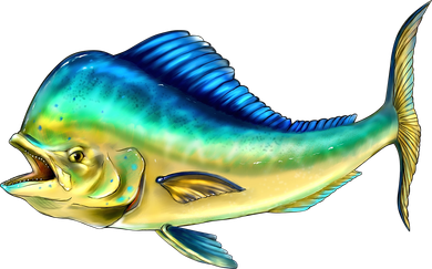 Mahi Mahi Side View Kids T-Shirt