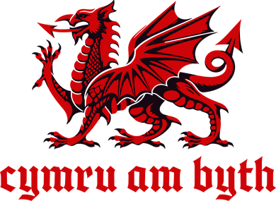 Cymru am byth Wales Red Welsh Dragon Cymraeg Flag Kids Sweatshirt