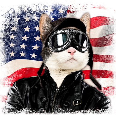 American Cat Air Force Pilot  Toddler T-Shirt