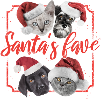 Cats And Dogs Santa's Love Kids T-Shirt