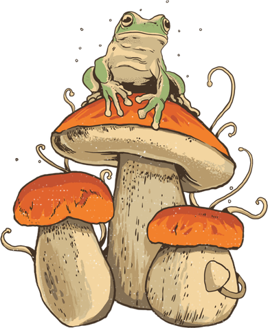 Cottagecore Aesthetic Frog Mushroom Moon Witch Vintage Fungi Gift Tote Bag