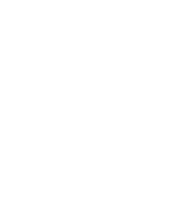 California Cali Home State Women's T-Shirt