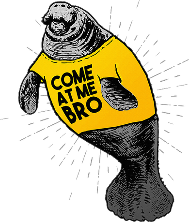 Come At Me Bro Manatee With Yellow Top Apron