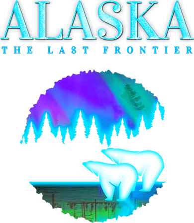 Cool Alaska Pair of Polar Bear with Aurora Snow Scene Women's Tank Top