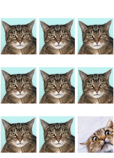 Cat Moods Funny Meme Tote Bag