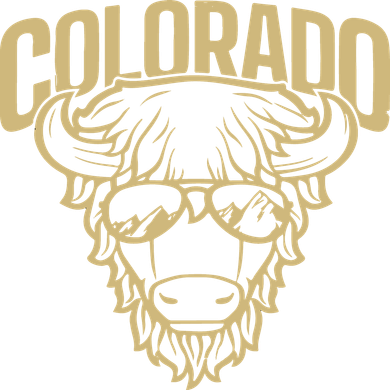 Cool Buffalo Colorado Boulder Game Day Beanie