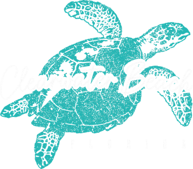 Clearwater Beach Florida FL Sea Turtle Scuba Diving Diver Women's Sweatshirt