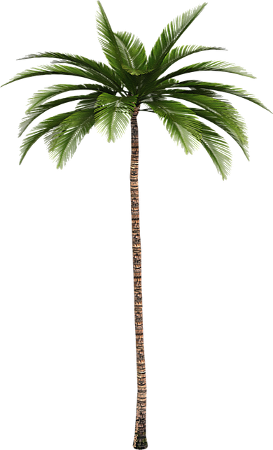 Cool Beach Summer Vacation Tropical Palm Tree Tote Bag