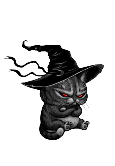 Cat Buckle Up Buttercup You Just Flipped My Witch Switch Kids Sweatshirt