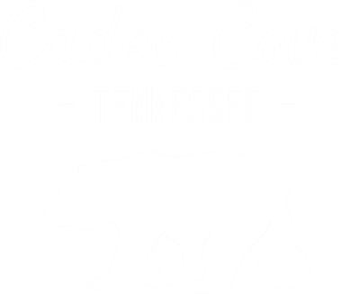 Cades Cove Bear Retro Tennessee Great Smoky Mountains Meaningful Gift Kids Hoodie