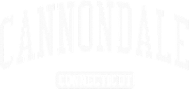 Cannondale Connecticut Ct Vintage Athletic Sports Button