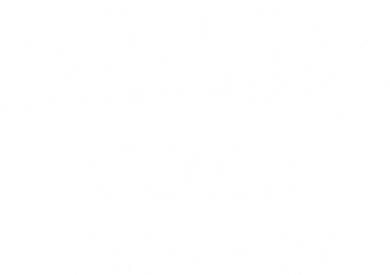 Carlsbad California Ca Vintage Established Sports Women's Dry Zone Grid Polo