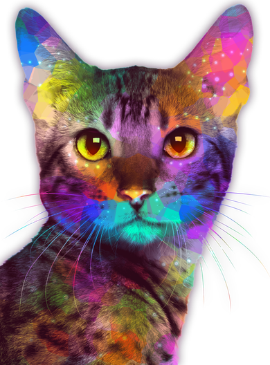 Trippy Colorful Cat Toddler Hoodie