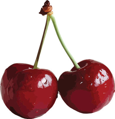 Cherries Cherry Coffee Mug