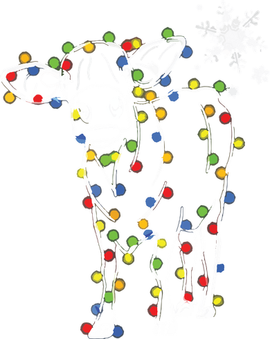 Cute Cow Christmas Lights Snow Lover Family Pajama Gifts Coaster