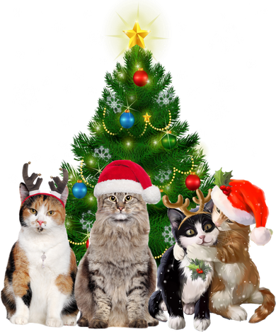 Cute Cat Christmas Tree Cat Lover Xmas Cat Mom Gift Hat
